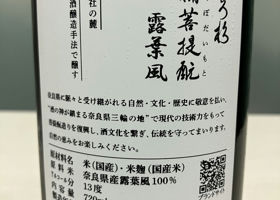 alt 3