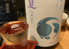 alt 1