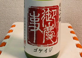 alt 1