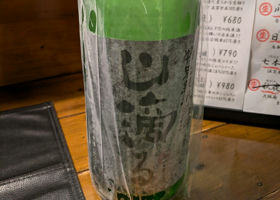 alt 1