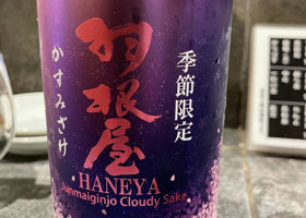 Haneya 签到 1