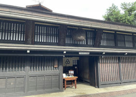 alt 1