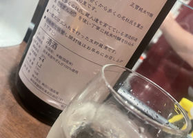 alt 2