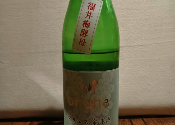 alt 1