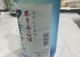 alt 3
