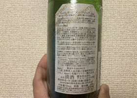 alt 3