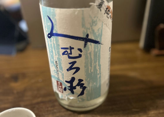 alt 1