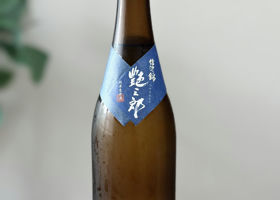 alt 1