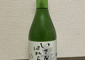 alt 3