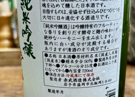 alt 2