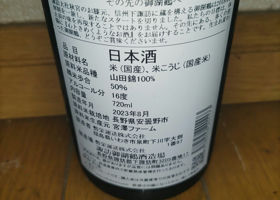 alt 3