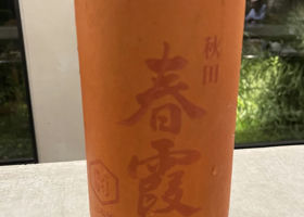 alt 1