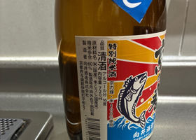京の春 チェックイン 2