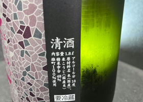 alt 3