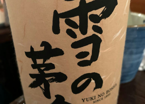 Yuki no Bosha Check-in 1