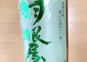 alt 3