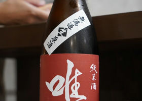 alt 1