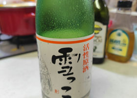 alt 1
