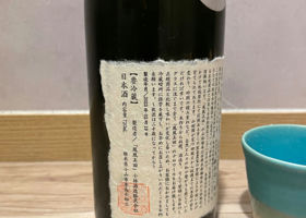alt 3