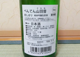 alt 3