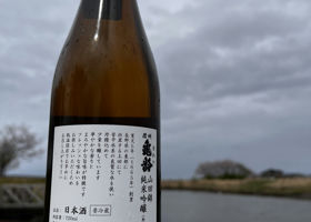 alt 3