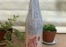 alt 1