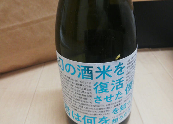 alt 1