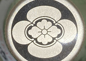 alt 4