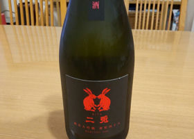 alt 1
