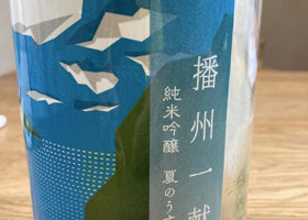 alt 1