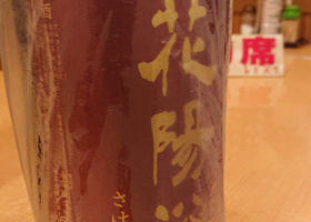 alt 1