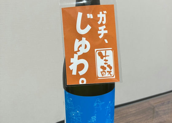alt 1