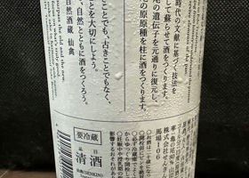 alt 3