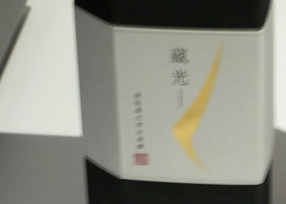 alt 1