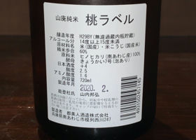 alt 3