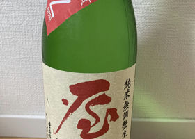 alt 1