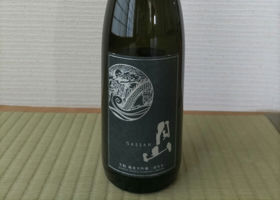 alt 1