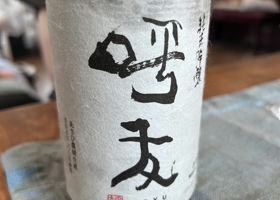 alt 1