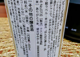 alt 3