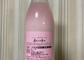 alt 2