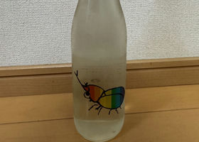 alt 1