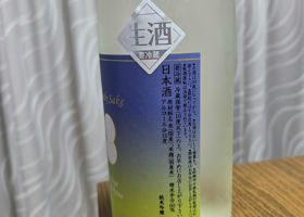 alt 3