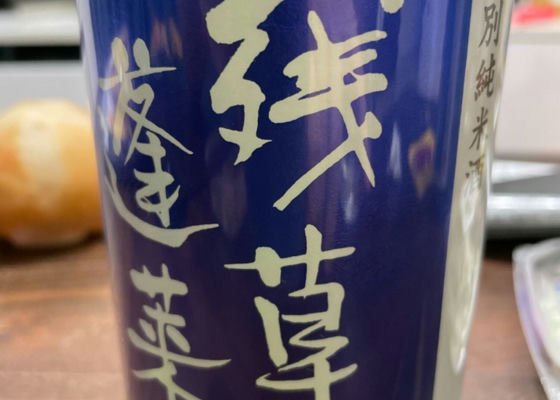 alt 1