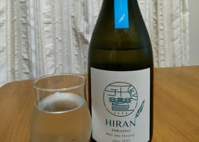 Hiran Check-in 1