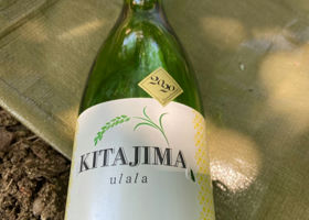 KITAJIMA 签到 1