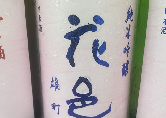 alt 1