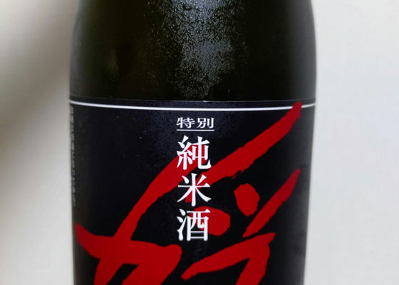 alt 1