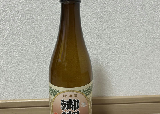 alt 1