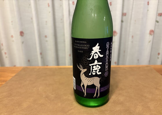 春鹿 チェックイン 1