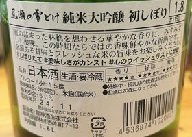 alt 3
